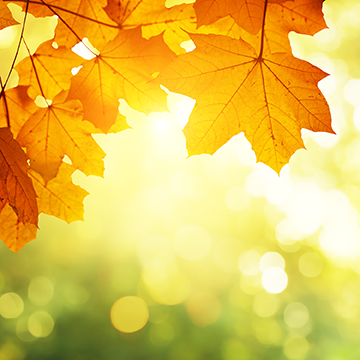 What is Your Summer’s End Vitamin D Level?